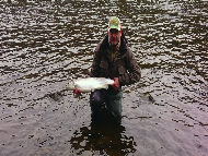 Mr Billy Davidson - River Tay