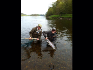 Mr Paul MacIntyre - River Tay