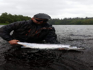 Mr Paul MacIntyre - River Tay 