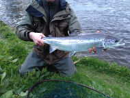 Mr David Cargill - North Esk