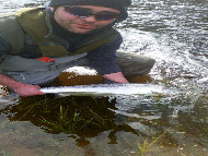 Mr Jamie McCulloch - River Spey 