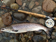 Iain Lamont - River Lochy