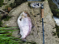 Mr Scott Dickson - River North Esk