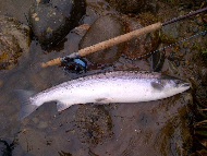 Mr Philip Black - River Dee