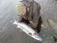 Mr Simon Furniss - River Spey