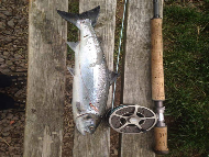 Mr Scott Dickson - River North Esk