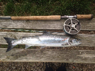 Mr Scott Dickson - River North Esk