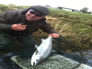 Mr Tony Black - River Tweed