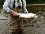 Mr Steven Hogg - River Tay