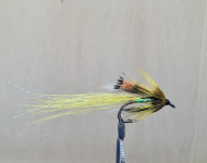 Yellow Ally's Shrimp (Loop Double)