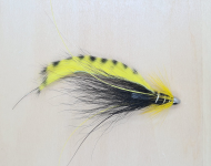 Yellow Tiger Snaelda (DB)