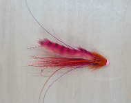 Pink Shrimp Tiger Snaelda (DB)