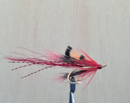 Ally's Shrimp - Red