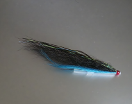 Sunray Shadow - Blue Goat Underwing